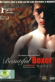 Beautiful Boxer