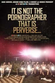 It Is Not The Pornographer That Is Perverse…