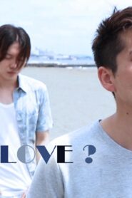 HIV × Love?