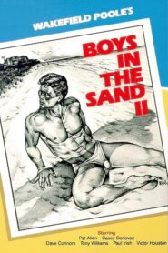 Boys in the Sand II