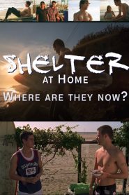Shelter at Home