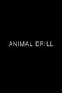 Animal Drill